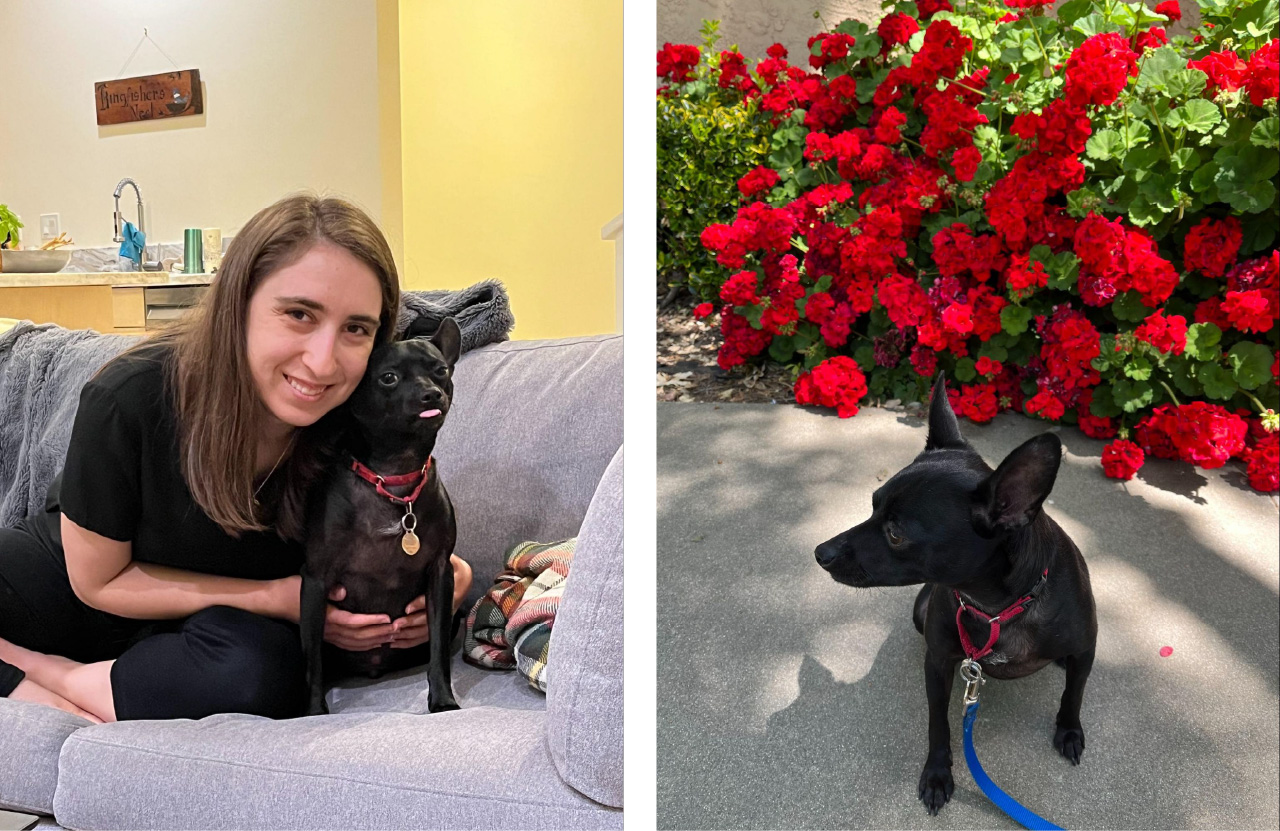 Two photos side by side of Jeanmarie and her newly adopted dog Sebastian, one of her holding him on a couch and the other of him outside on a sidewalk in front of roses.