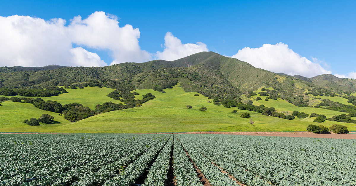 Agricultural scene from Adobe Stock