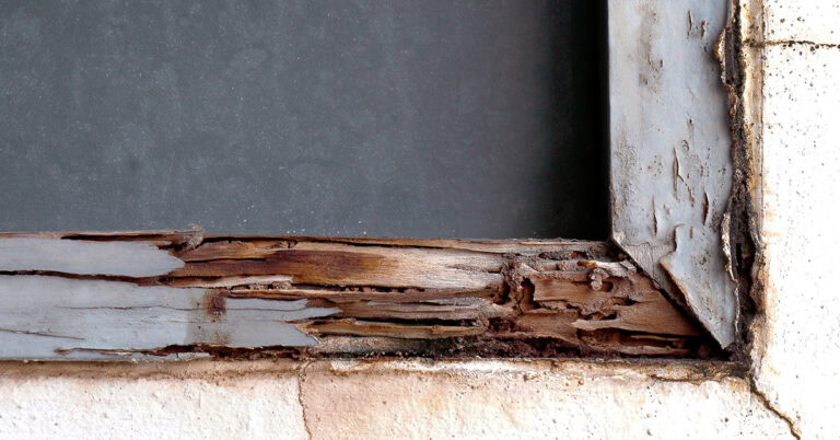 A window with termite damage from Adobe Stock