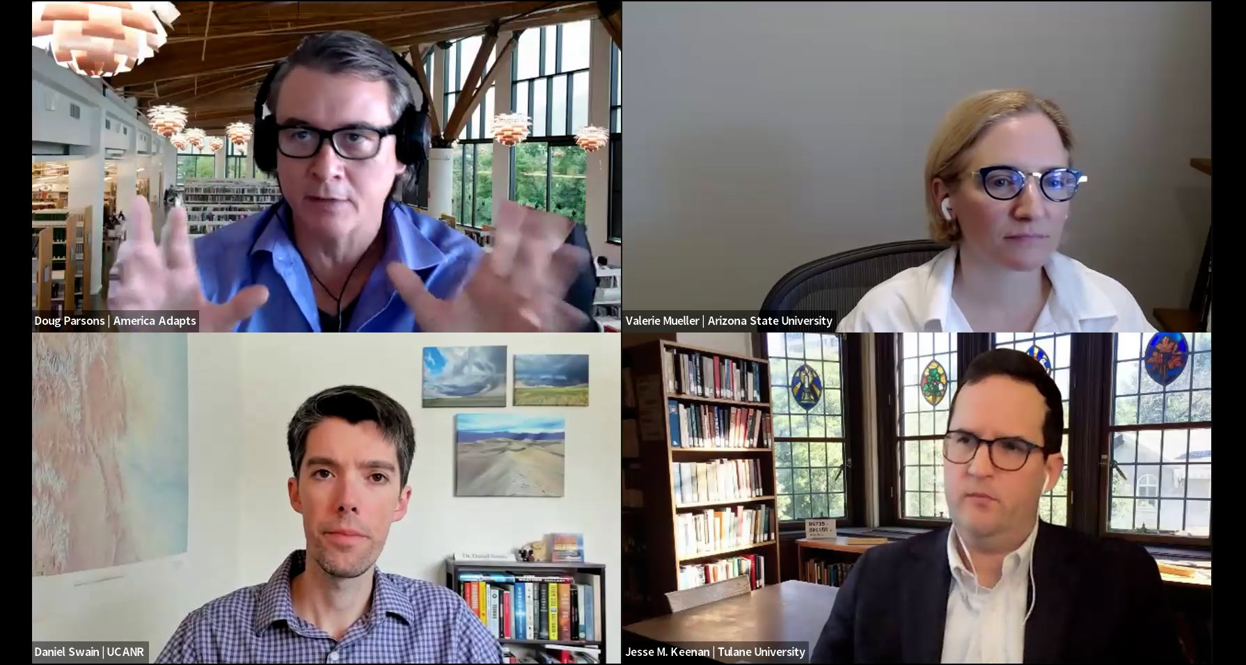 Zoom screenshot of four panelists