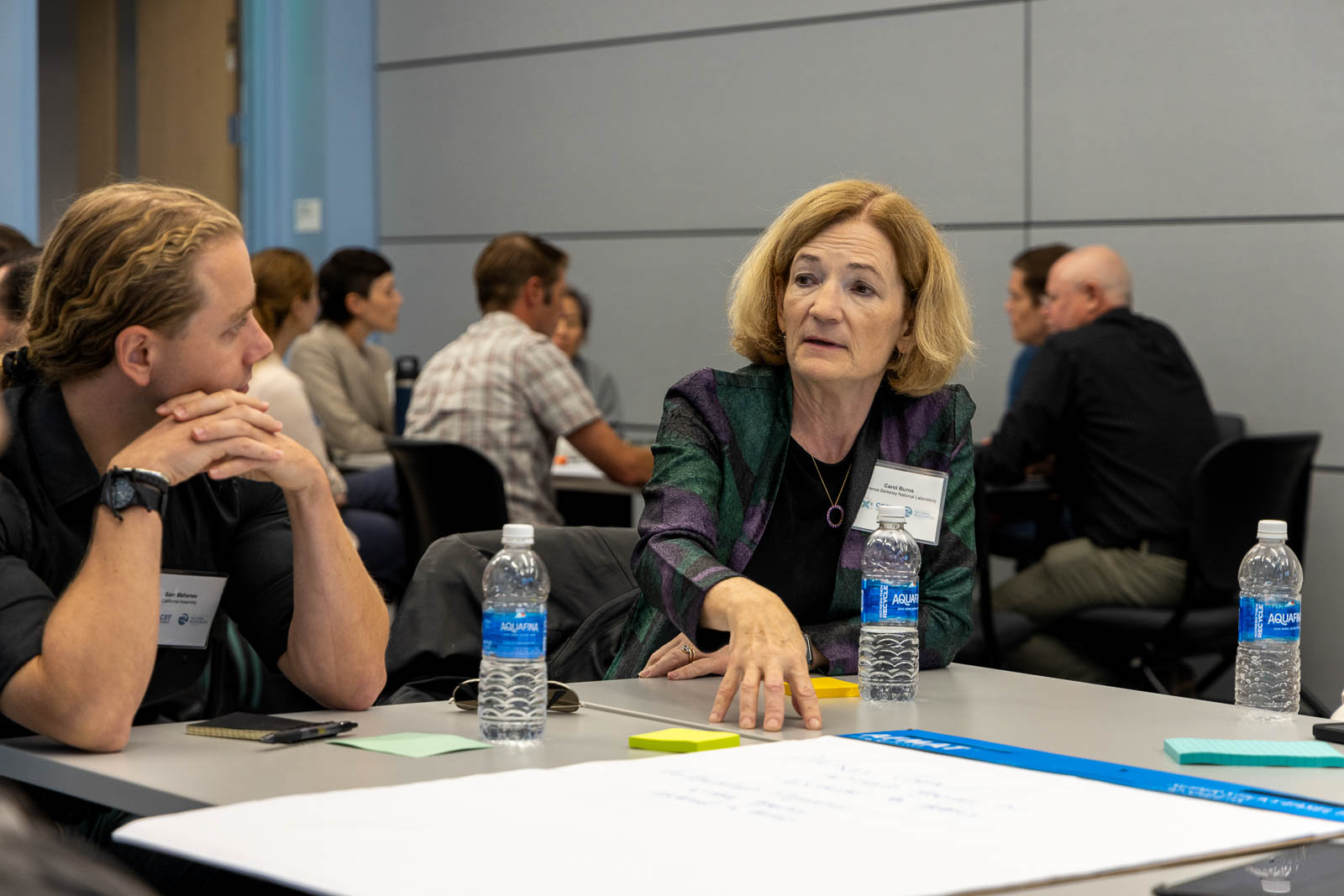 CCST Board Member Carol Burns from Berkeley Lab participates in a breakout session.