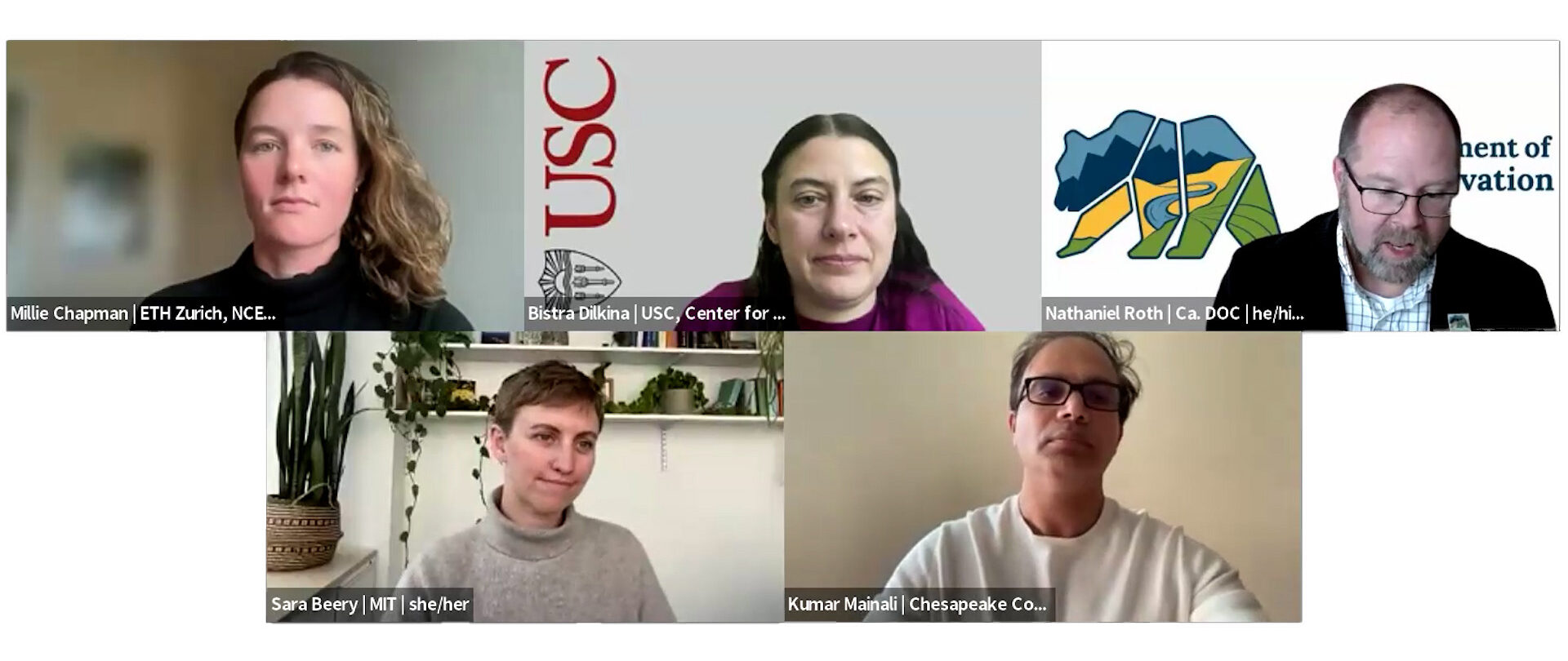 Zoom screenshot of five panelists.