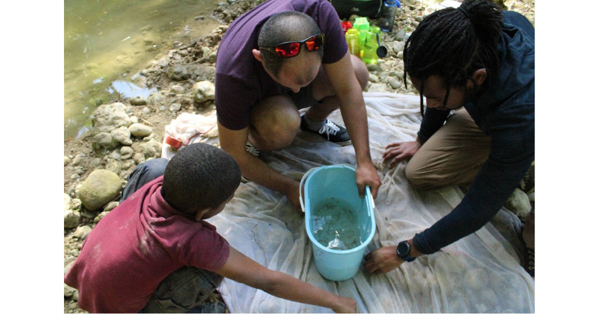A photo of Trai and his team collecting samples for his PhD research in the Dominican Republic.