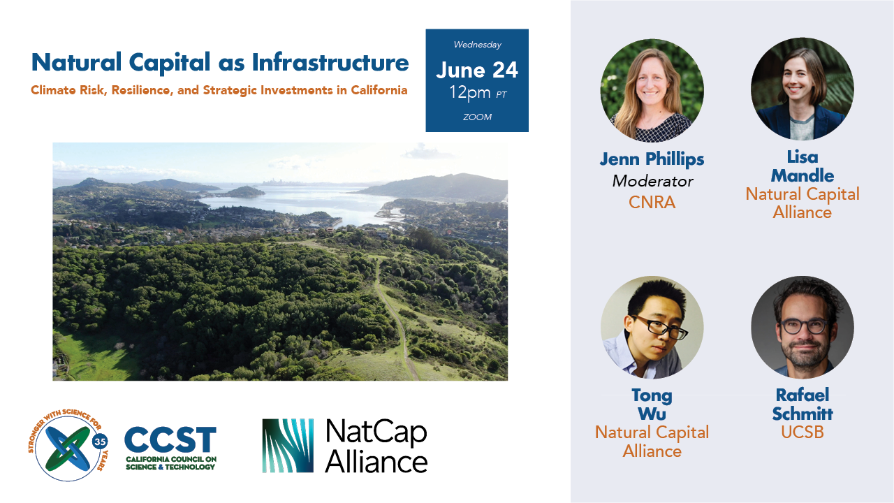 A graphic including title of the expert briefing, large image of forest landscape, NatCap and CCST logos, and headshots, names and titles of the moderator and panelists.