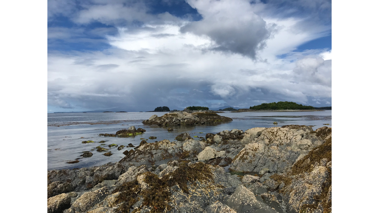 Photo from a field site of rocky shore, open water, and cloudy skies.