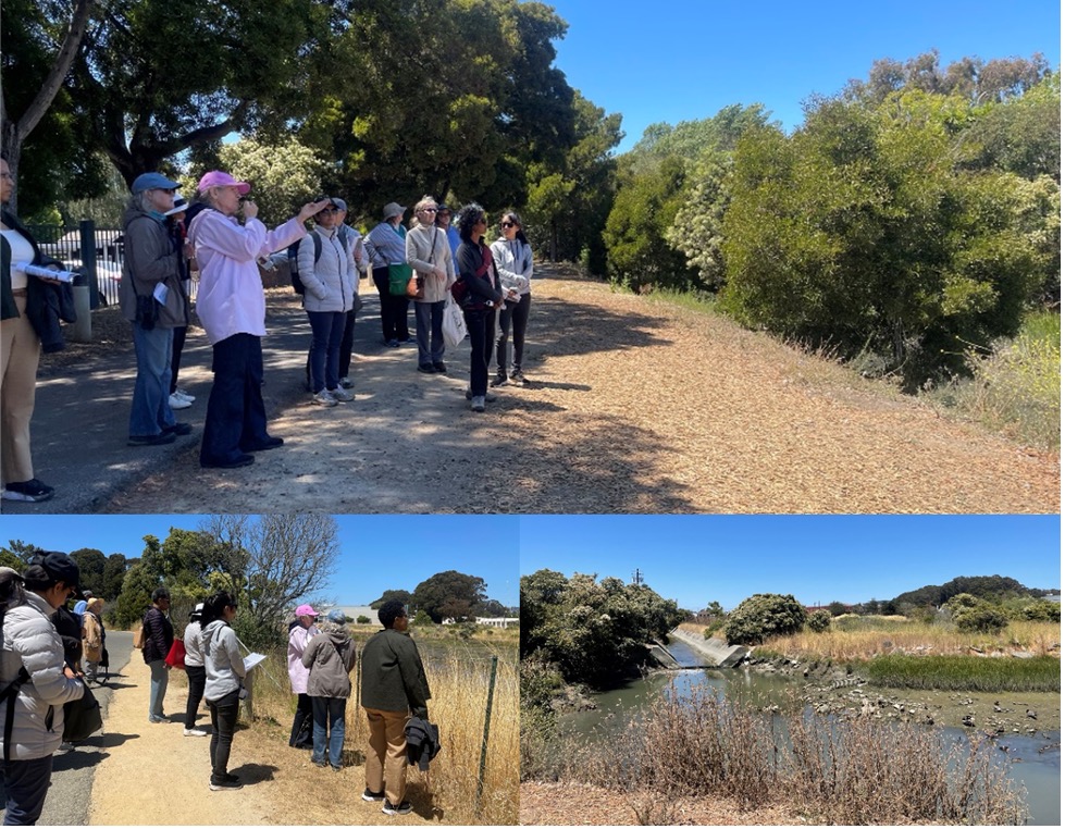 A collage of three photos showing a group on a field trip outside with a body of water and trails.