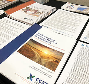 Stacks of CCST Reports