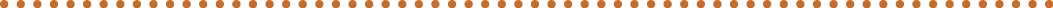 A thin line of orange, round, dotted lines
