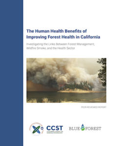 An image of the cover of the report, which has a blue stripe down the left side, and the title with details on a white background and a photo of the King Fire.